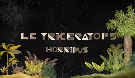 Réalisation motion design